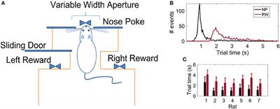 Neuronal Assemblies Evidence Distributed Interactions within a Tactile Discrimination Task in Rats